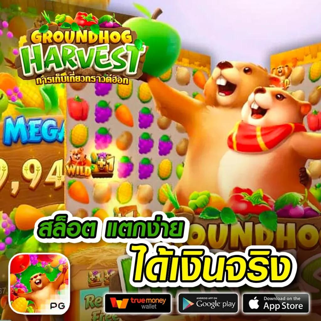mc4 slot คาสิโนเว็บตรง มั่นคงที่สุด บริการทันใจ แจกเครดิตฟรี