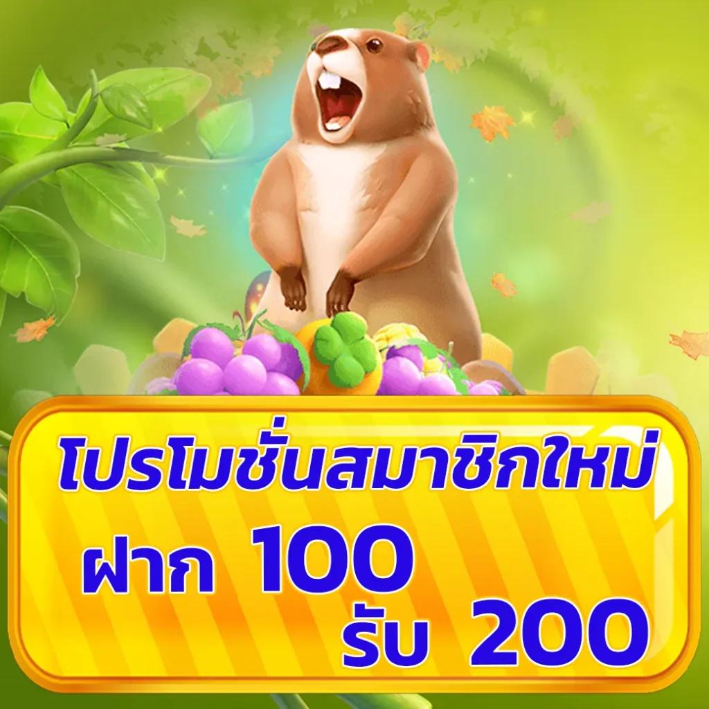 โปรแกรมฟุตบอลวันนี้ เช็กลีกดังและอัปเดตล่าสุด ฟรีดูบอลออนไลน์