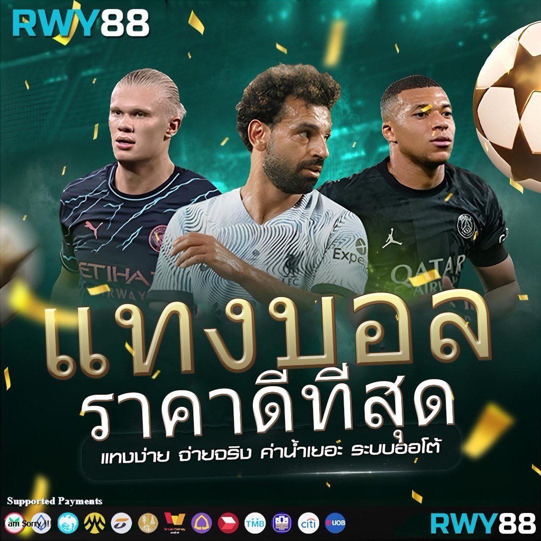 ไทยเกอร์24 เว็บเกมยอดนิยม เล่นง่าย จ่ายจริง สร้างกำไรทุกวัน